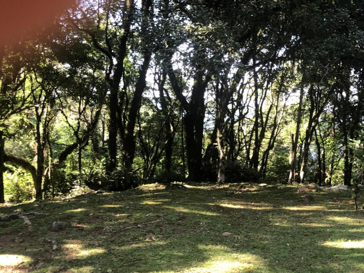 Refugio Da Natureza São Francisco de Paula エクステリア 写真