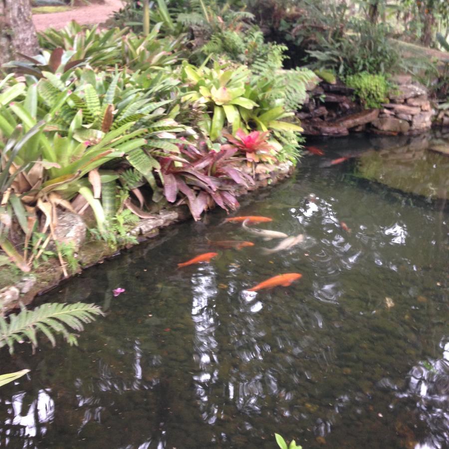 Refugio Da Natureza São Francisco de Paula エクステリア 写真